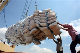 Vietnamese companies secure three lots in Indonesia's 500,000-tonne rice tender