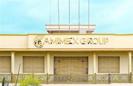 Camimex Group lỗ lũy kế sau soát xét, cổ đông ảnh hưởng thế nào?