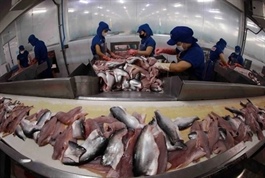 Việt Nam seafood exports climb back to $1b after two-year hiatus