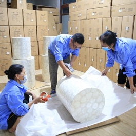 Global integration adds cultural value to Hanoi's craft villages