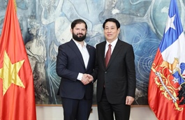 ​Chile keen to enhance bilateral ties with Vietnam: president