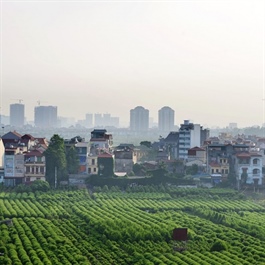 Capital Law 2024 enables Hanoi's sustainable agricultural growth