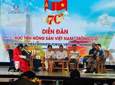 Bilateral trade turnover between Việt Nam and Mongolia triples