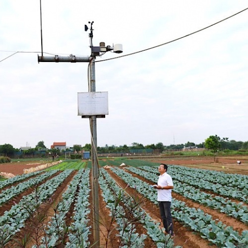 Hanoi's digital transformation: boosting agriculture efficiency