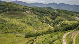 Hòa Bình taps agricultural tourism for sustainable development