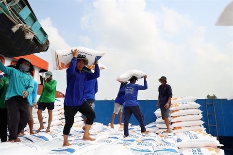 Rice export hits a fresh record of $5 billion