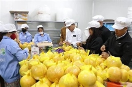 Hải Dương exports pomelo to EU