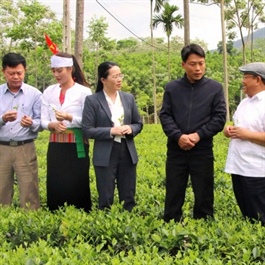 Hanoi Farmers Association drives change by innovation and collaboration