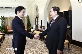 ​Vietnam, Singapore aim to lift strategic partnership ties to higher level