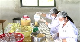 Yên Thủy pickled pearl onions reach UK, prepare for expansion