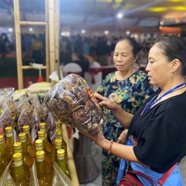 Hanoi Shopping Festival 2024 promotes agricultural products and handicrafts