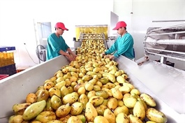 Việt Nam’s exports expected to hit highest growth since 2021