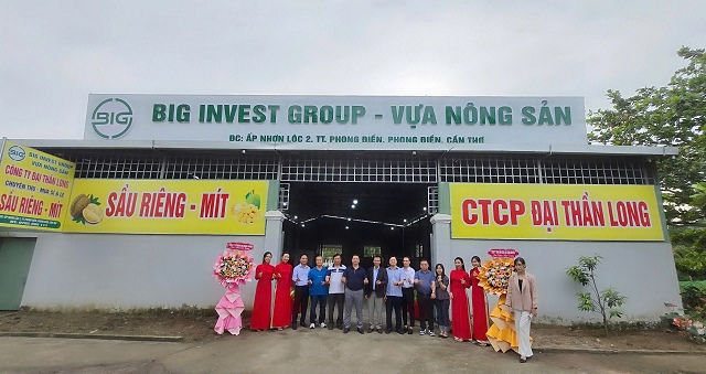 AI NEWS - Nền tảng tin tức chứng khoán