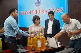 Japanese businesses to seek suppliers in Đà Nẵng