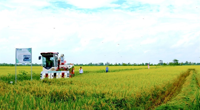 ​Vietnam rice branding faces multiple hardships