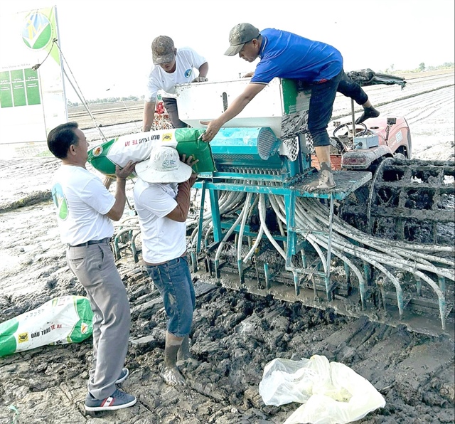 Farmers sow rice seeds in Vietnam's Mekong Delta. Photo: Chi Quoc / Tuoi Tre