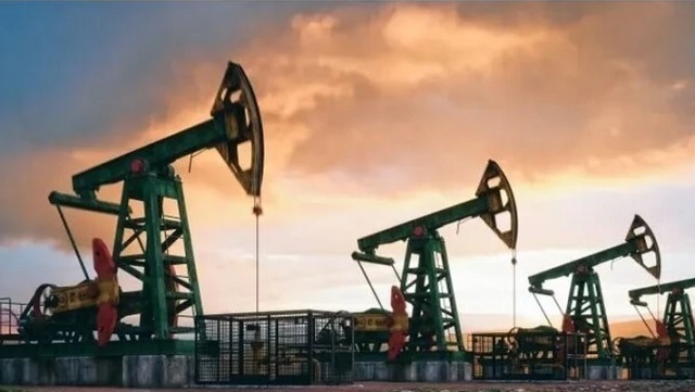 OPEC lại hạ dự báo nhu cầu dầu toàn cầu