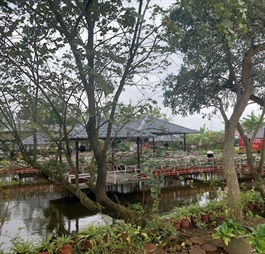 Effective development of urban agriculture on Hanoi's outskirts