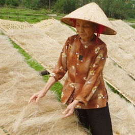 Bringing traditional So Village glass noodles to global marketplace