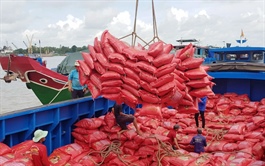 ​US becomes Vietnam’s biggest agro-forestry-fishery buyer