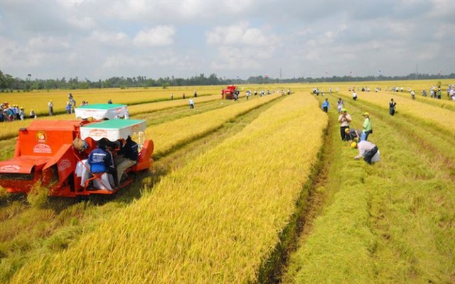 Đề xuất kéo dài miễn thuế sử dụng đất nông nghiệp đến hết ngày 31/12/2030- Ảnh 1.