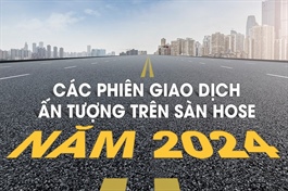 Các phiên giao dịch ấn tượng trên sàn HOSE năm 2024