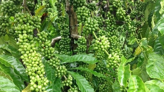 AI NEWS - Nền tảng tin tức chứng khoán