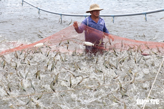 ​Vietnam’s seafood exports hit $10bn in 2024