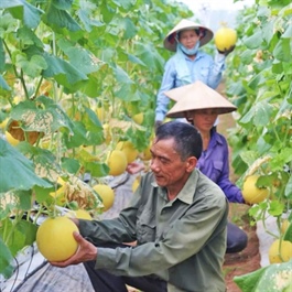 Hanoi promotes circular agriculture through technology transfer