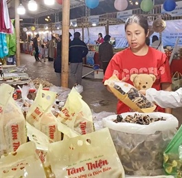 OCOP products from across Vietnam on display at Hanoi fair