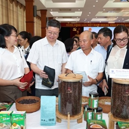 Hanoi supports farmers' end-of-year agricultural sales