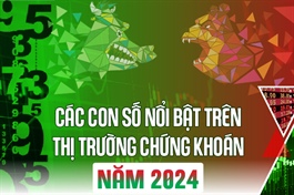 Các con số nổi bật trên thị trường chứng khoán năm 2024