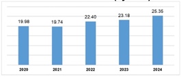 FDI disbursement hits record $25.35 billion in 2024