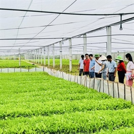 Vietnam prioritizes agriculture and renewable energy for access to green loans