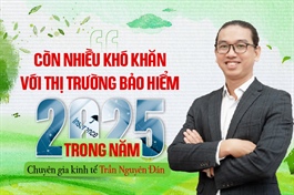 Chuyên gia kinh tế Trần Nguyên Đán: Còn nhiều khó khăn với thị trường bảo hiểm trong năm 2025
