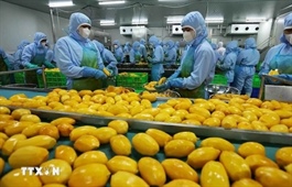 Vietnam eyes 8 billion USD in fruit, vegetable export value in 2025