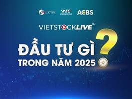 Vietstock LIVE - Đầu tư trong kỷ nguyên vươn mình sẽ phát trực tiếp trên fanpage vào sáng 17/01