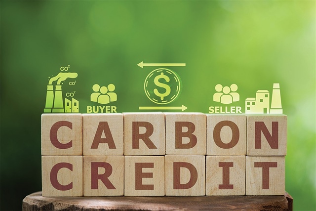 Carbon credit interest still at low level