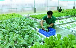 Businesses say there is growing demand for organic products