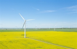 Clean energy developments of scale confirmed