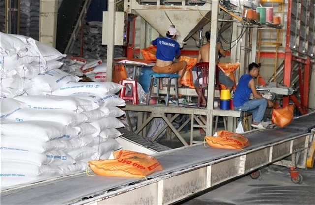 Việt Nam’s rice exports to Singapore surge