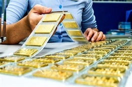 PM Chính asks credit institutions to stabilise gold market