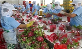 Tiền Giang Province targets $6.3 billion exports