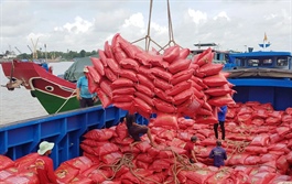 ​Vietnam’s rice export price down