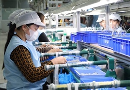 Bắc Giang workers back to work, ready for new year