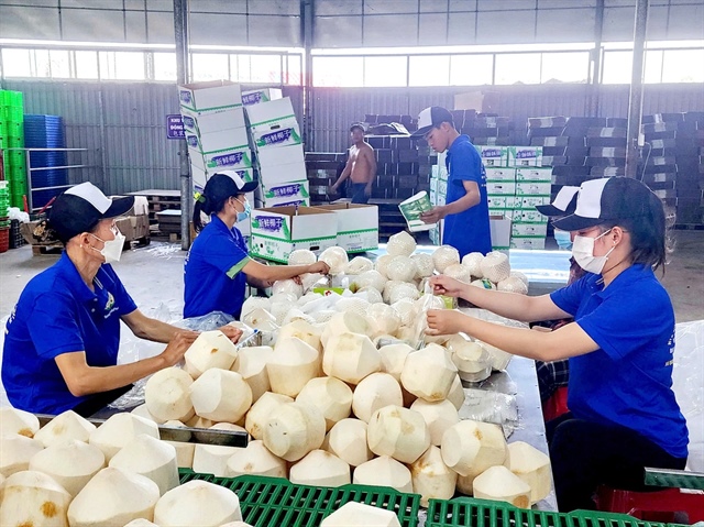 ​Vietnam’s coconuts, durians promising to further expand way to China: Chinese consul general