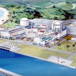 Vietnam to develop small-size nuclear power plant