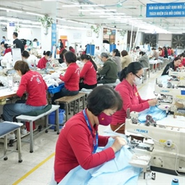 Vietnam's institutional reforms critical to achieving 2025 growth targets