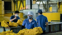 Phước Hòa Rubber to acquire $11.26 million of rubber latex from Cambodian subsidiary