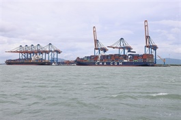 Việt Nam's seaports need investment to enhance competitiveness